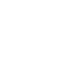 FIGHTERS FIGHTERS